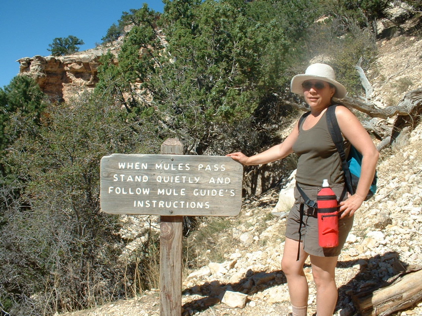 mulesign.jpg