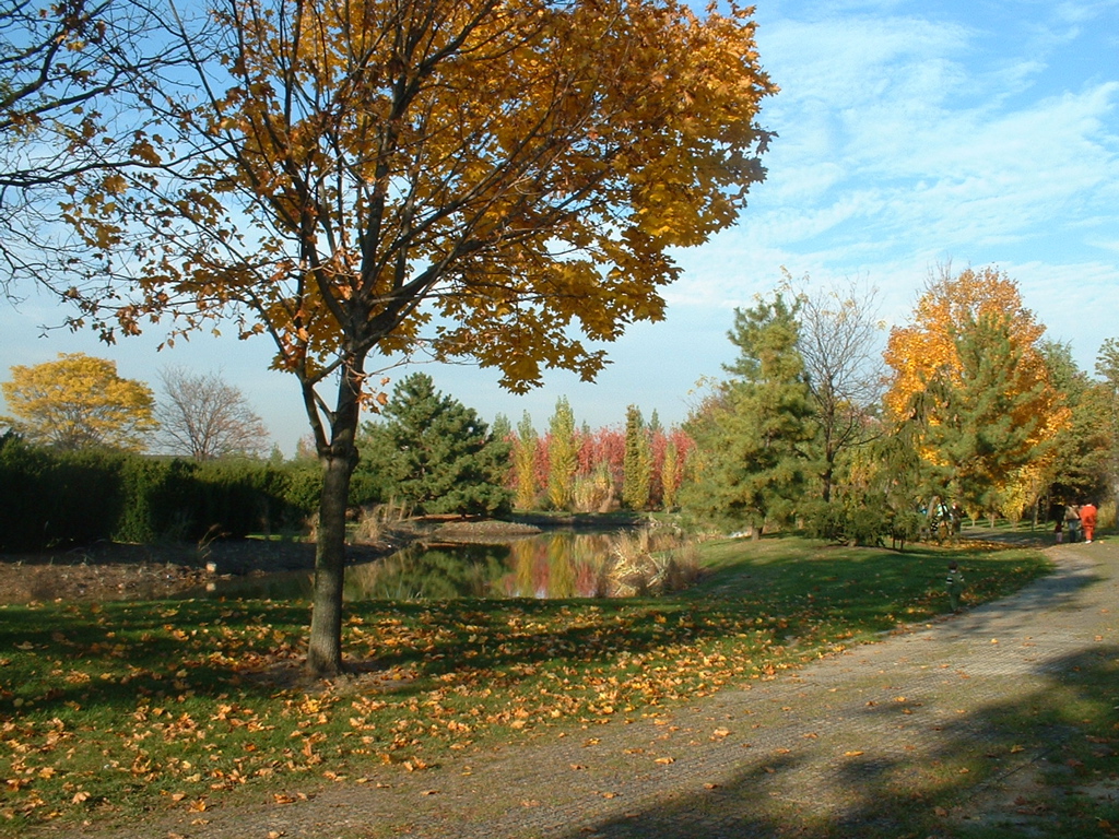 DSCF0029.JPG