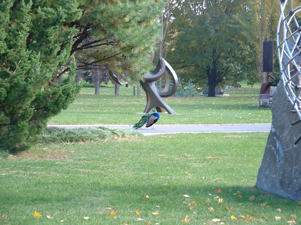 DSCF0003.JPG