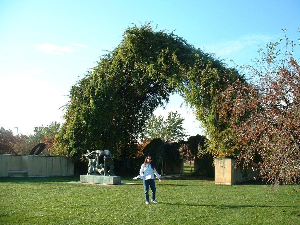 DSCF0025.JPG
