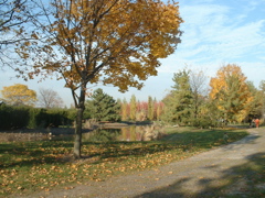 DSCF0029.JPG