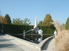 DSCF0019.JPG