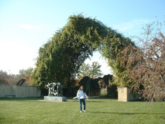 DSCF0025.JPG