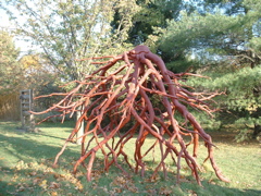 DSCF0028.JPG