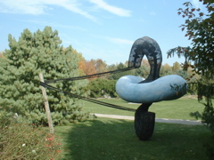 DSCF0006.JPG
